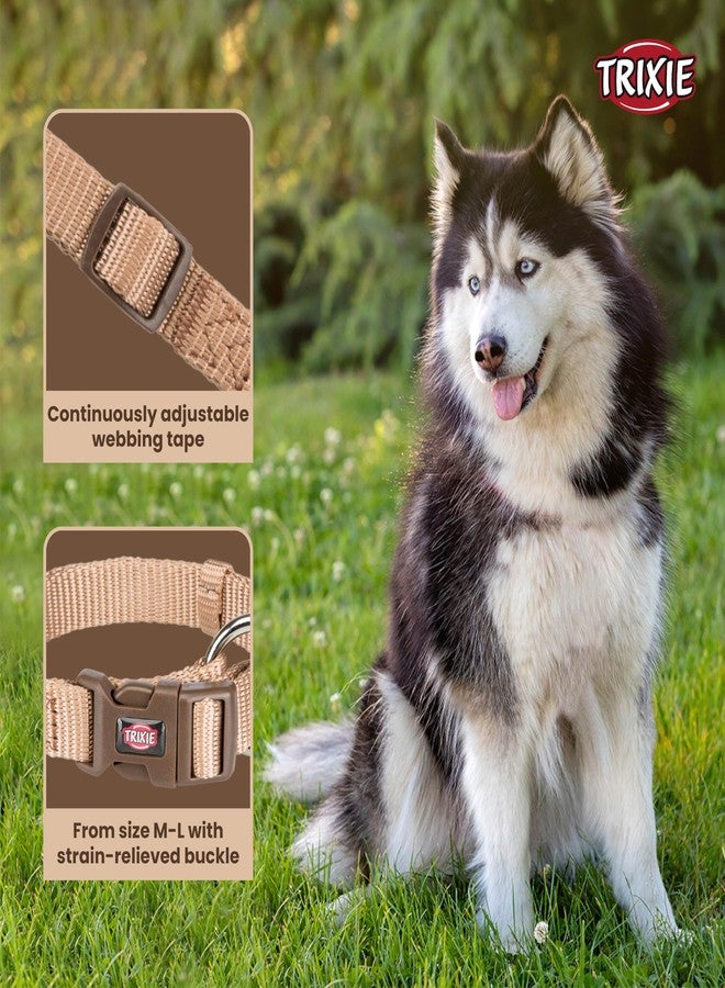 Trixie Premium Dog Collar Belt, Stylish Design, Adjustable Webbing Tape, Strain Relief, with Leash Connector, Neck Collar for Dogs, 35-55 cm (M-L, Caramel) - Image 3